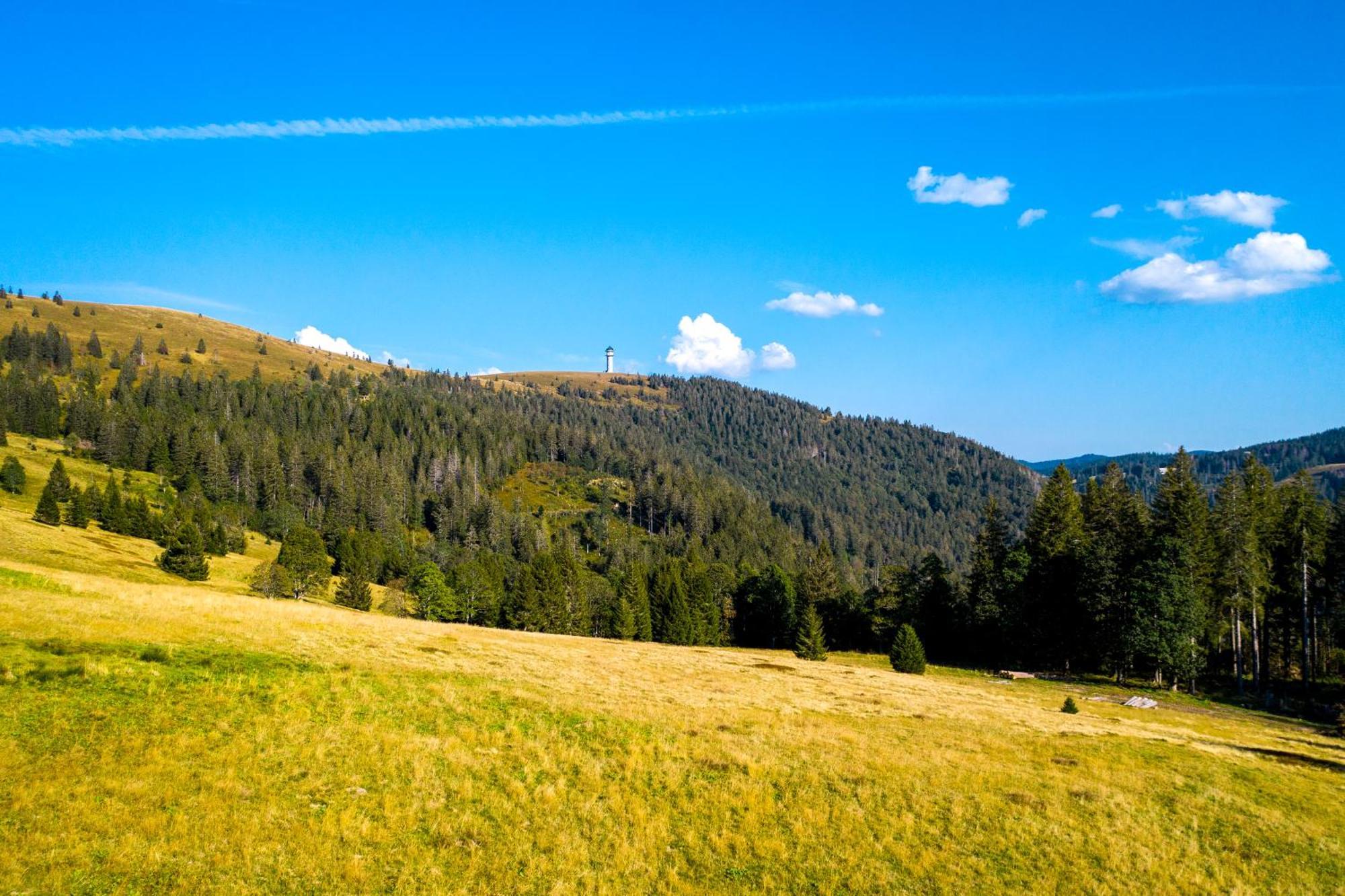 Berggasthof Zur Todtnauer Huette Feldberg  Exteriér fotografie